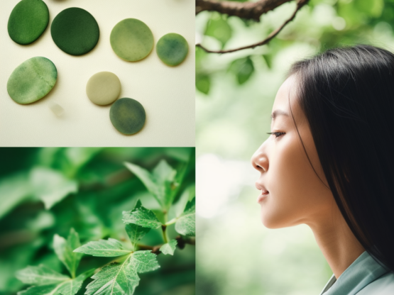 {{brizy_dc_image_alt entityId=